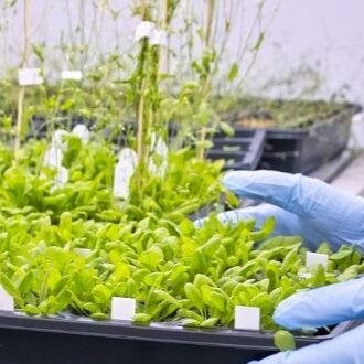 Plant Growth Chamber