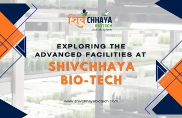 Shivchhaya Bio-Tech