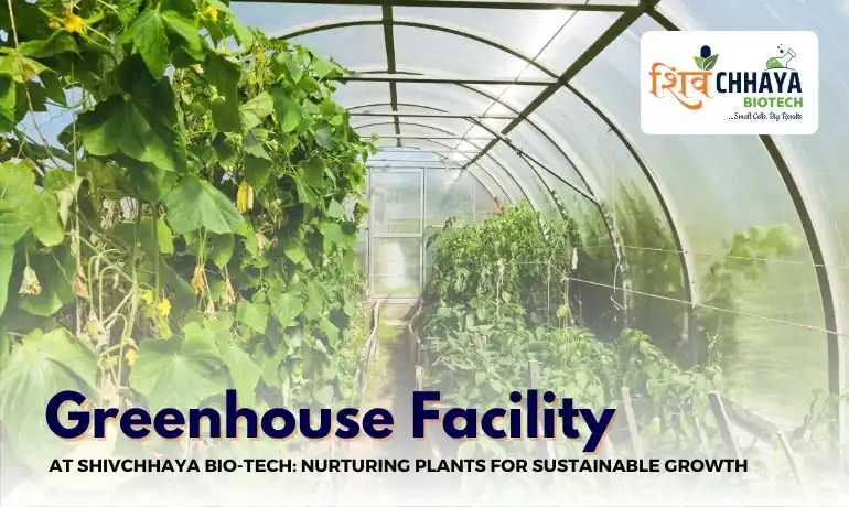 Greenhouse at Shivchhaya Bio-Tech