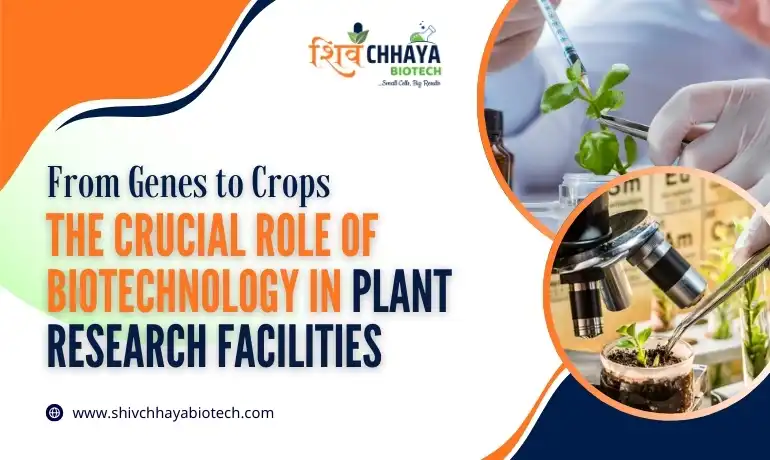 Biotechnology in Plant Research Facilities